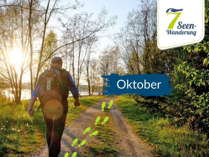 ein Wanderer läuft auf einem Waldweg bei sonnigem Wetter